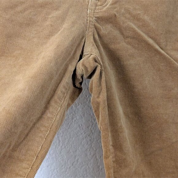 J. Crew Factory Golden Brandy Orange Corduroy Ankle Pants sz 24 City Work - Picture 4 of 7